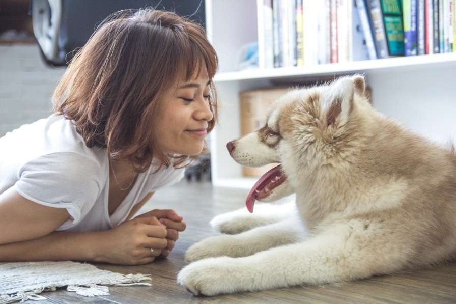 How do dogs show you love?