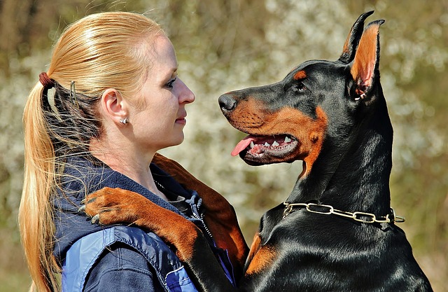 How to stop a Doberman from barking