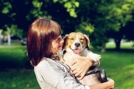 why does my dog growl or bark at my wife 1