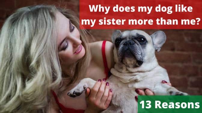 Why Does My Dog Like My Sister More Than Me?