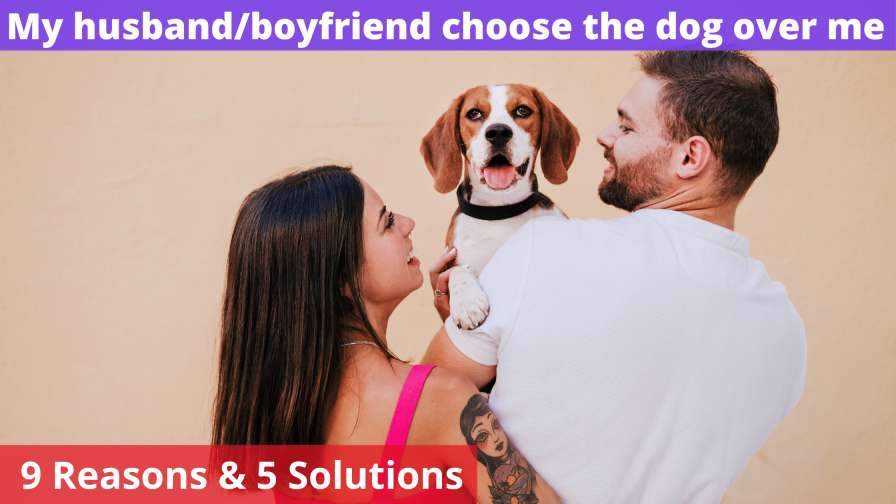 My husband chose the dog over me