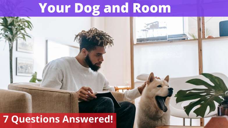 Your Dog & Room
