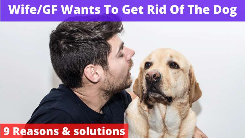 Wife/GF Wants To Get Rid Of The Dog