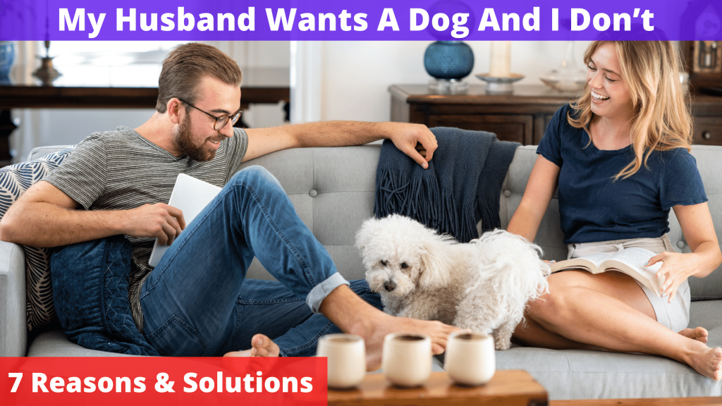 Husband Wants a Dog and I Don't