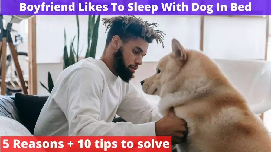Boyfriend Likes To Sleep With Dog In Bed