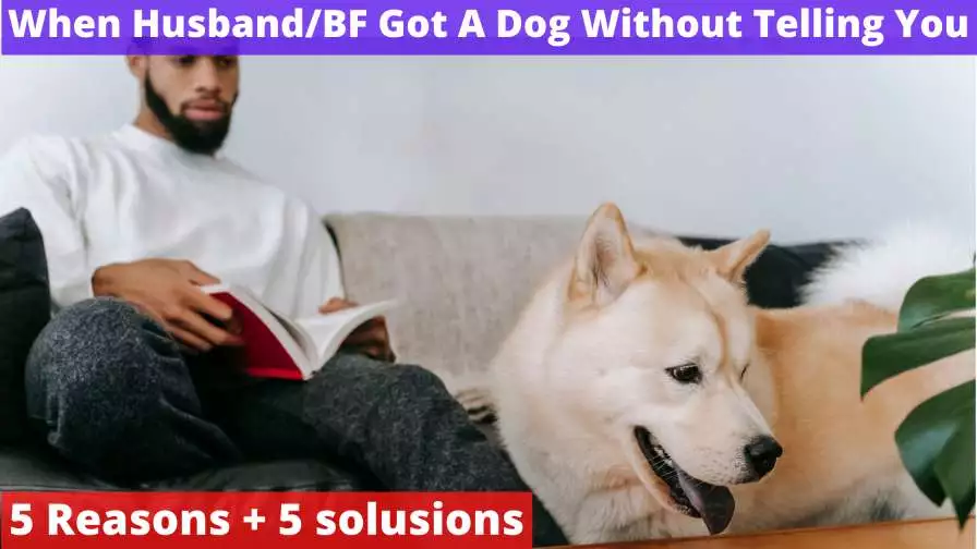 My husband got a dog without telling me