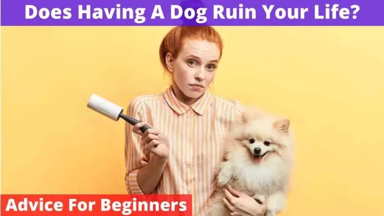 Does Having A Dog Ruin Your Life
