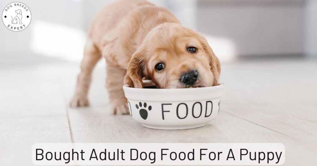 Accidentally Bought Adult Dog Food For A Puppy