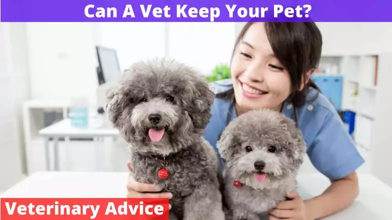 Can A Vet Keep Your Pet