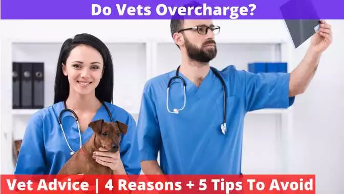 Do Vets Overcharge