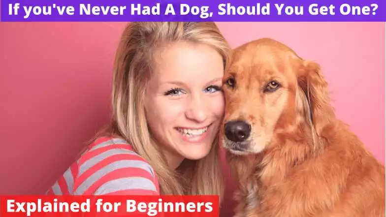 never had a dog, should you get one