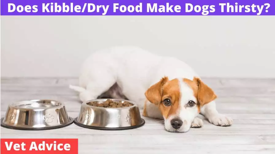 dry food make dogs thirsty