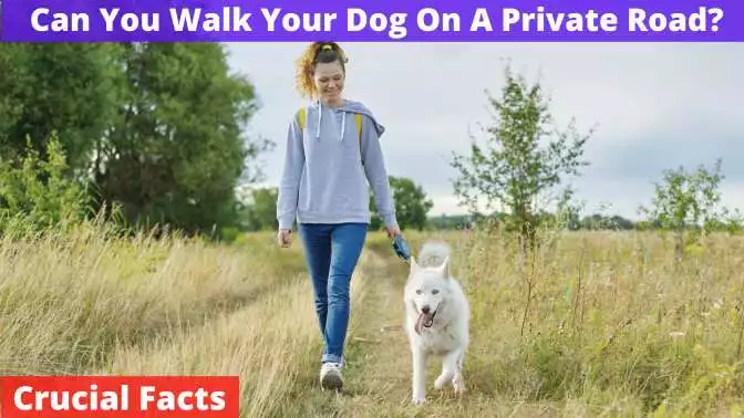 Can You Walk Your Dog On A Private Road