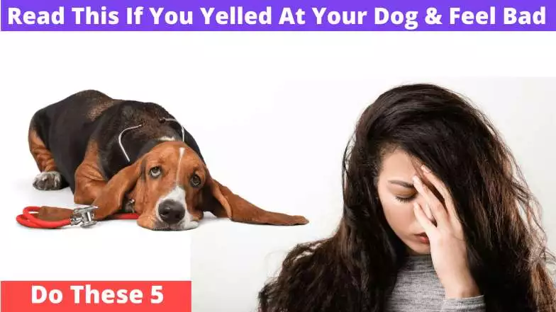 regret girl and sad dog