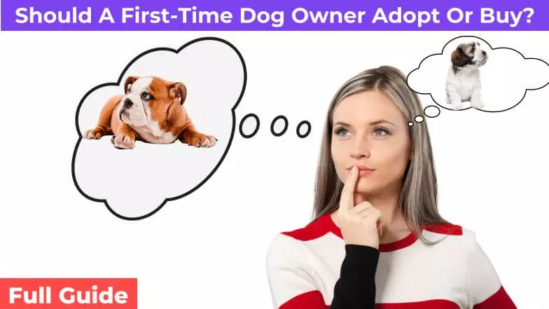 first time dog owner thinking about adopting or buying a dog