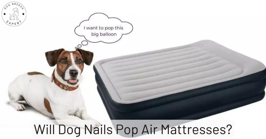 Will Dog Nails Pop Air Mattresses?