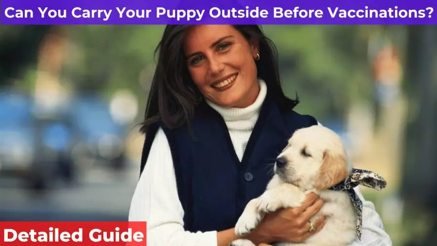 women carry a puppy