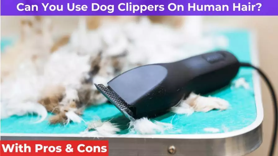 dog clipper