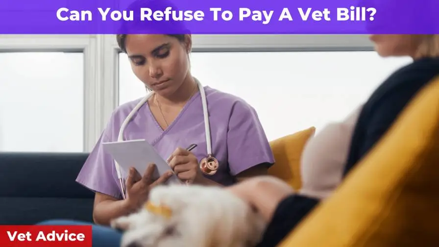 Can You Refuse To Pay Your Vet Bill? [Vet Advice]