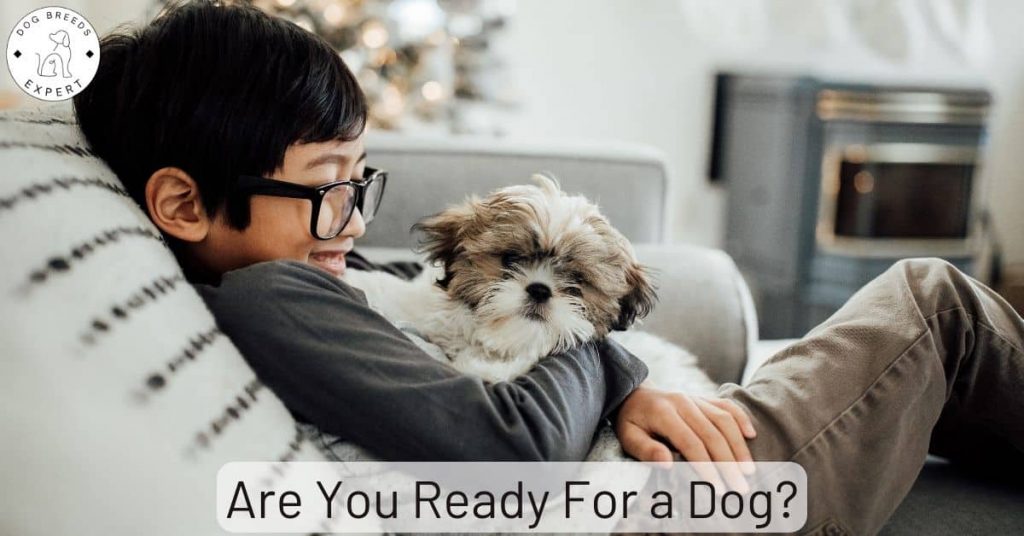 Are You Ready For a Dog?