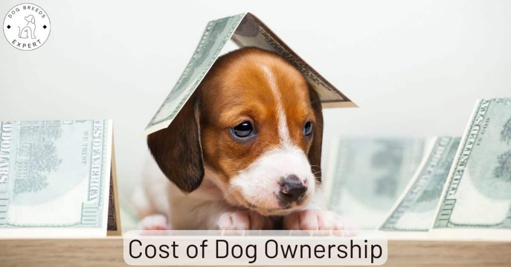 Cost of Dog Ownership
