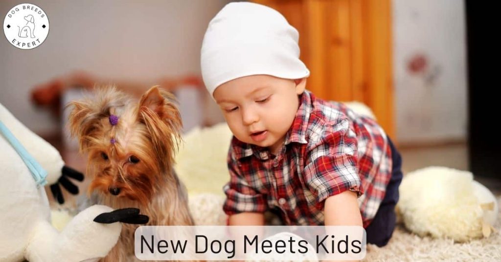 New Dog Meets Kids