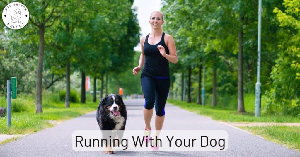 Running With Your Dog