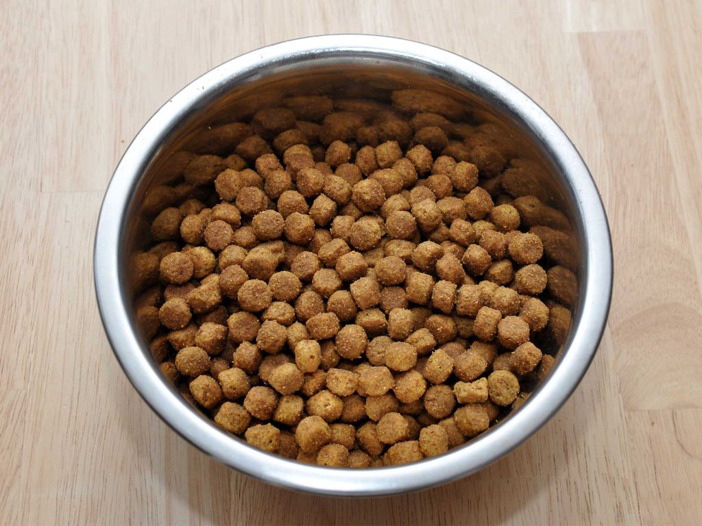 tips for healthy dog