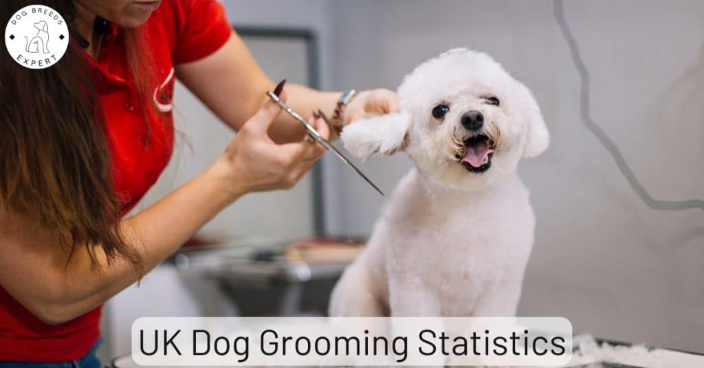 UK Dog Grooming Statistics
