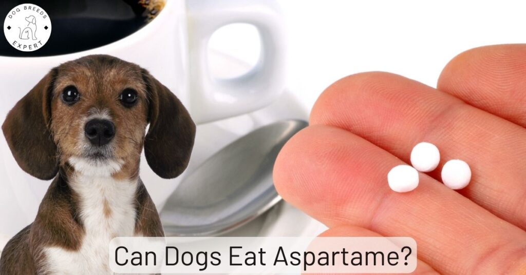 Can Dogs Eat Aspartame?