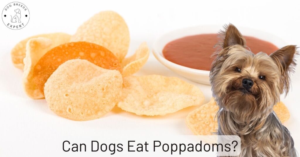Can Dogs Eat Poppadoms?