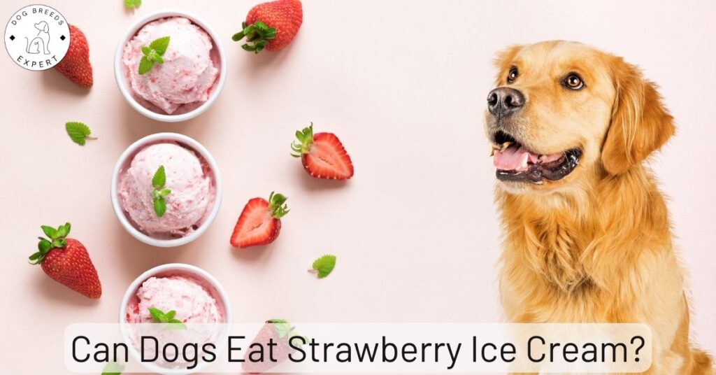 Can Dogs Eat Strawberry Ice Cream?