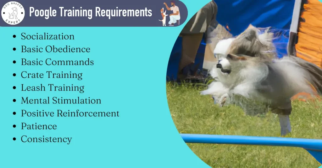 poogle training requirements
