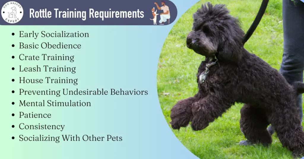 rottle training Requirements