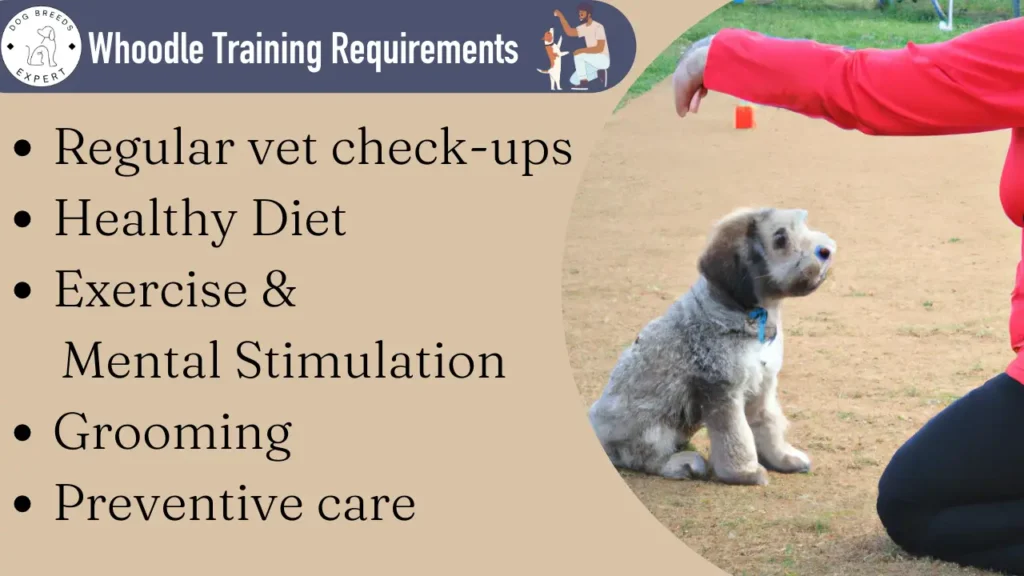 whoodle training requirements 