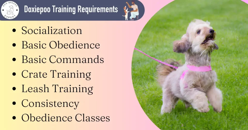 Doxiepoo training Requirements