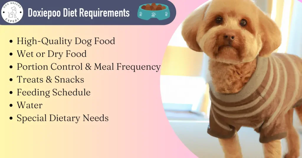Doxiepoo diet Requirements