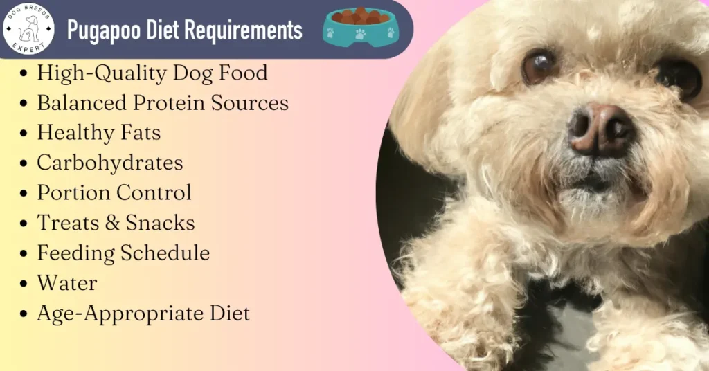 pugapoo Diet Requirements