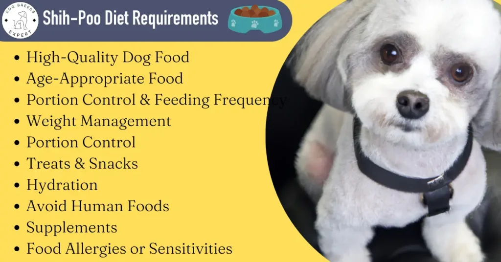 Shih-poo diet Requirements