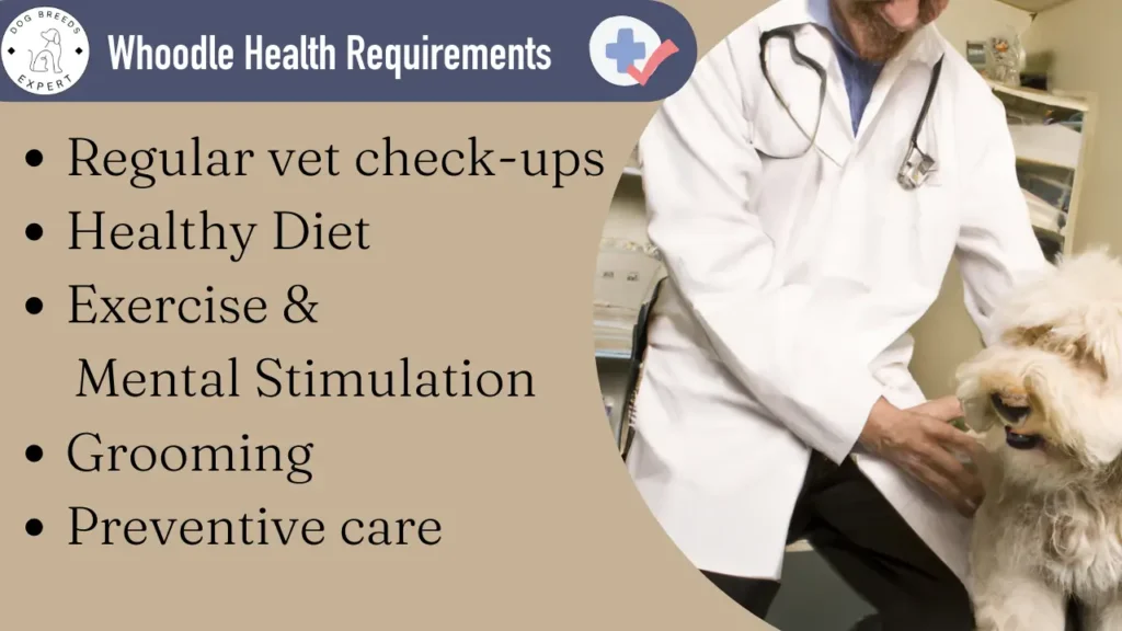 Whoodles health requirements 