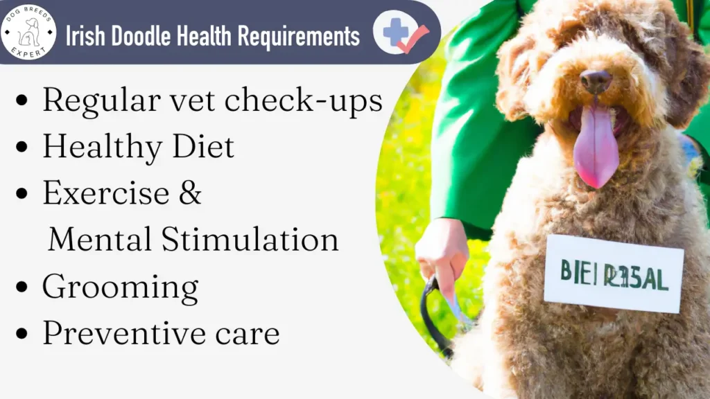 Irish Doodle health requirements