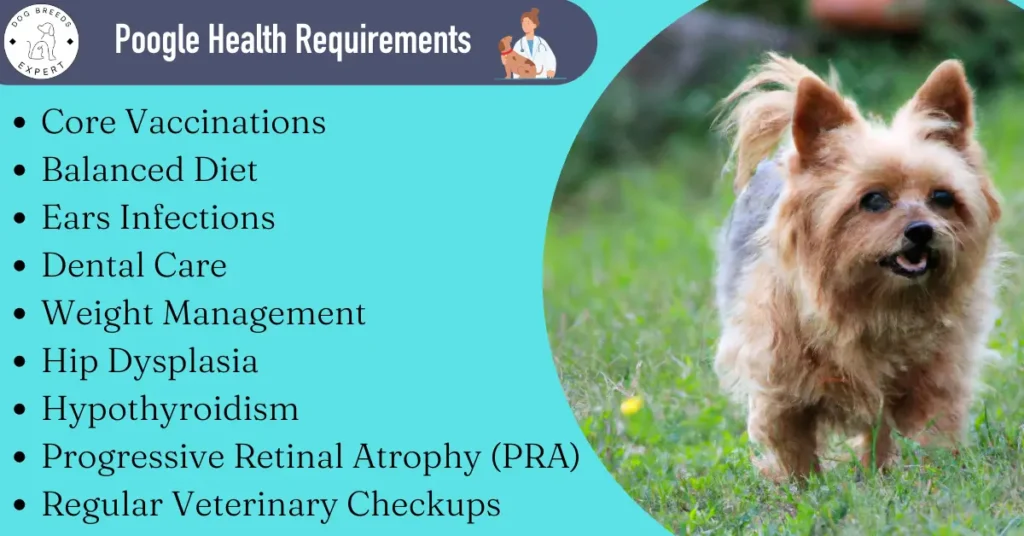 poogle health requirements