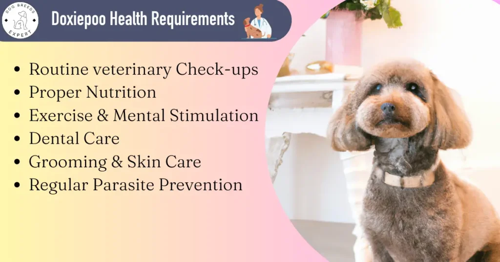 Doxiepoo Health Requirements