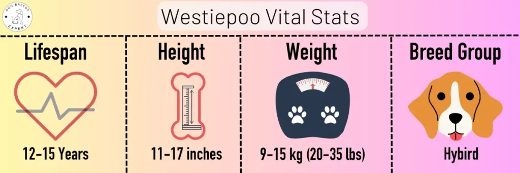Westiepoo vital stats