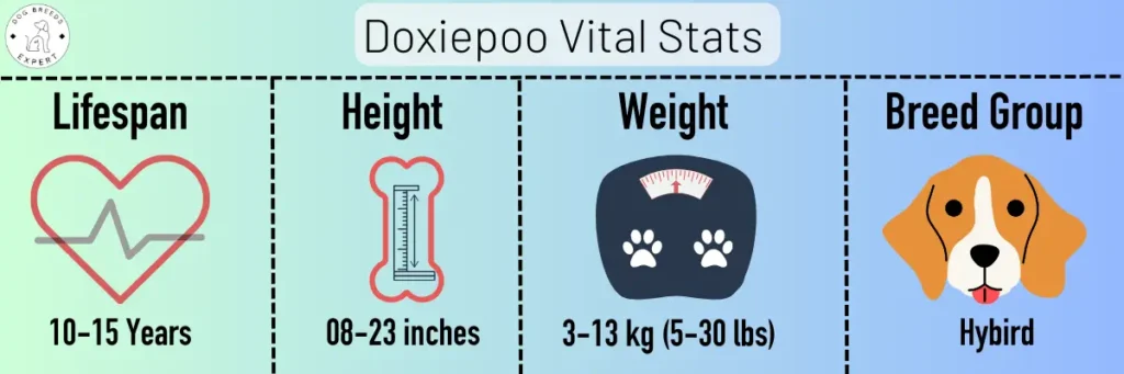 doxiepoo vital stats