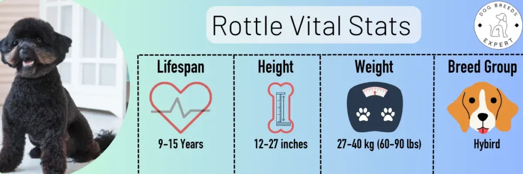 rottle vital stats