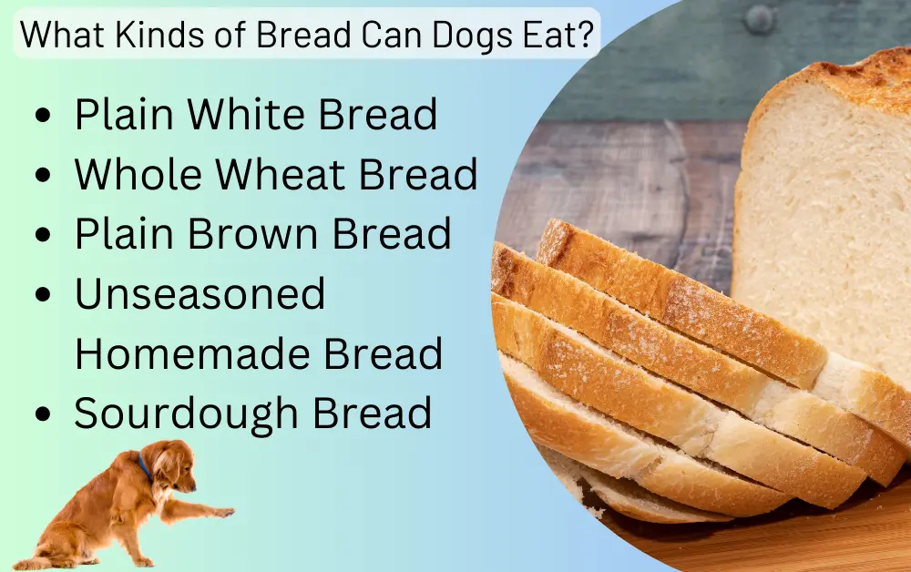 Kinds of Bread Dogs can eat