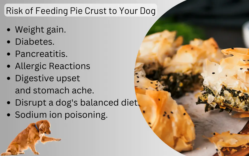 Risk of Feeding Pie Crust to Your Dog
