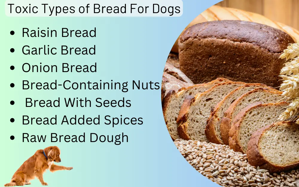 toxic types of bread for dogs