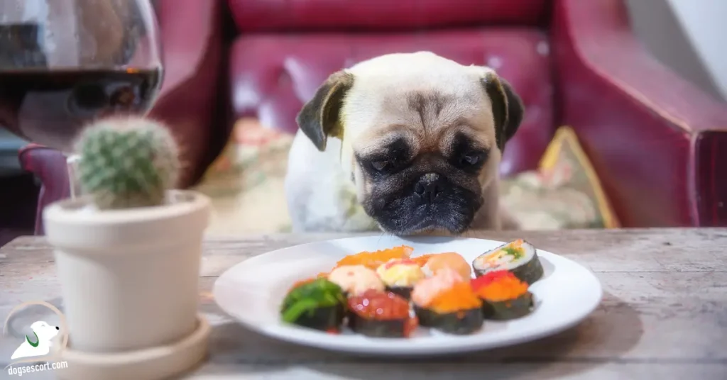 dog eating